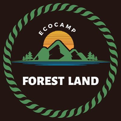 Дитячий табір Forest Land Карпати/Сколе